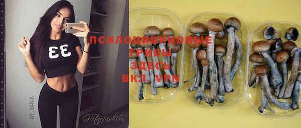 прущая мука Гусиноозёрск
