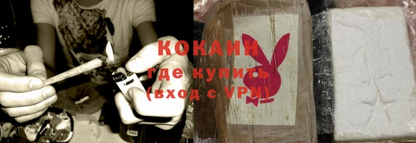шишки Гусев