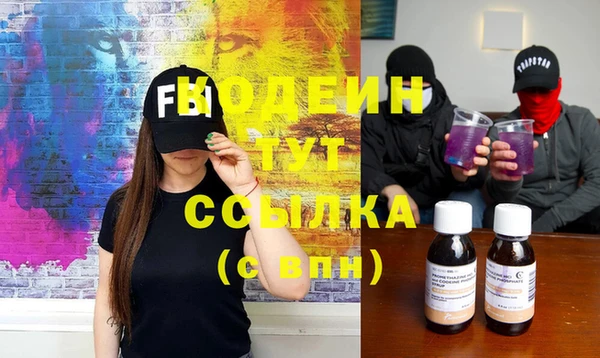 шишки Гусев