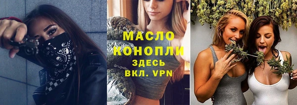 шишки Гусев